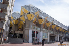 Hollande, Rotterdam