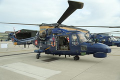 Danish Air Force helicopters