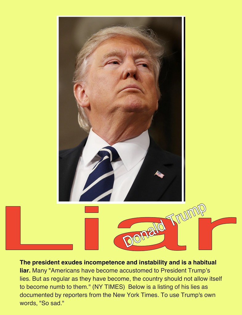 Trump Liar poster - Not Fake news