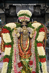 2017 - Vasantha Utsavam - Velleeswarar Temple