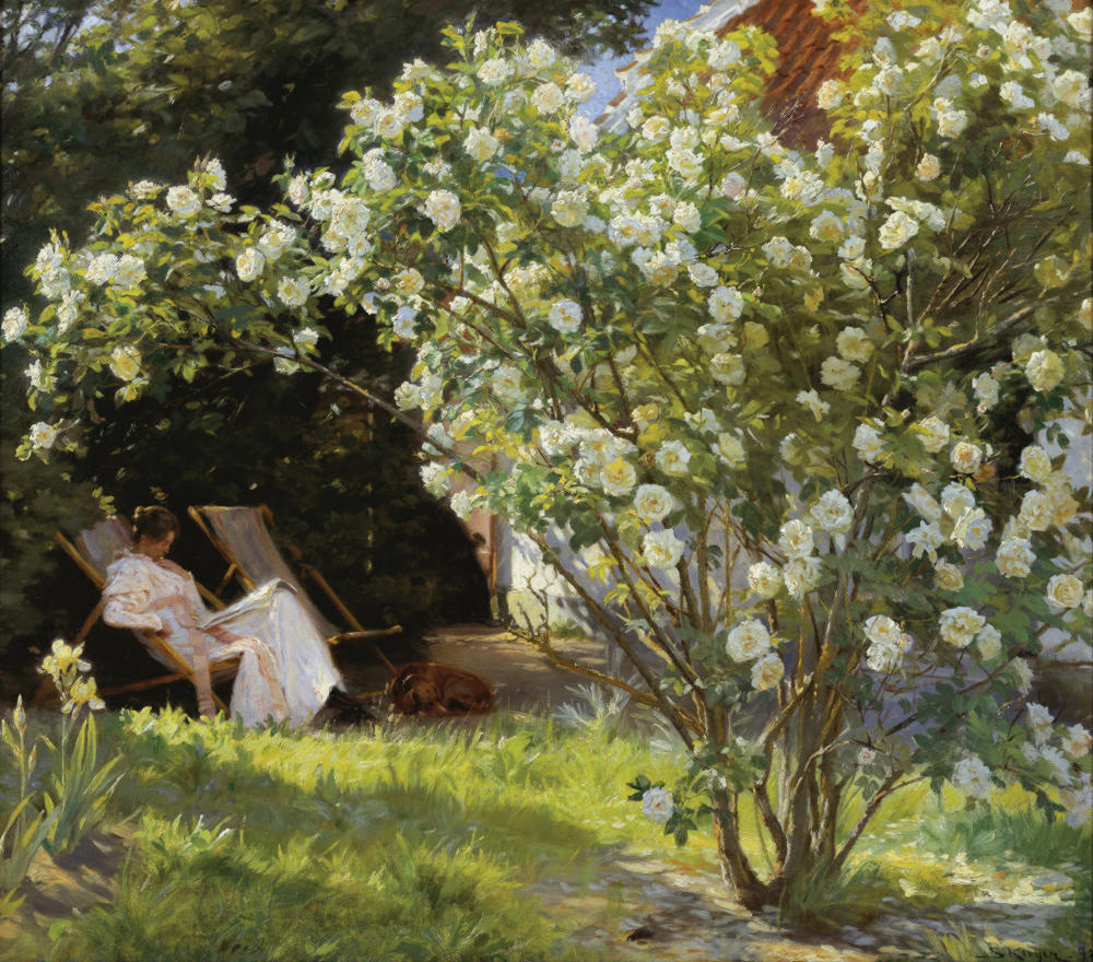 Roses by P.S. Krøyer, 1893