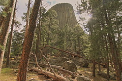 devils tower national monument wyoming