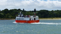 Poole Brownsea & Swanage
