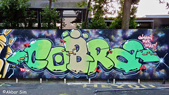 Den Haag Graffiti COBRA