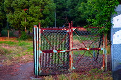 rusty gate 001