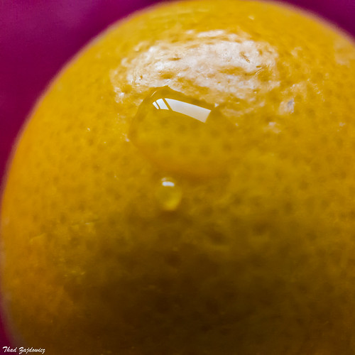 Lemon Drop -- HMM!