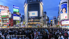 Shibuya Crossing,  Tokyo Japan