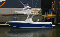 Blackwatch Boats Gold Coast