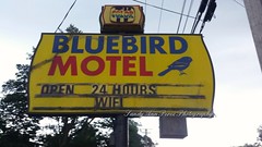 Motels / Hotels