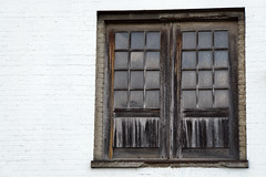 Fenster - Window