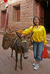 Journey to North Yunnan (2008)