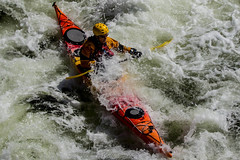 2017-06-13 Kayakers Under Tillicum Bridge