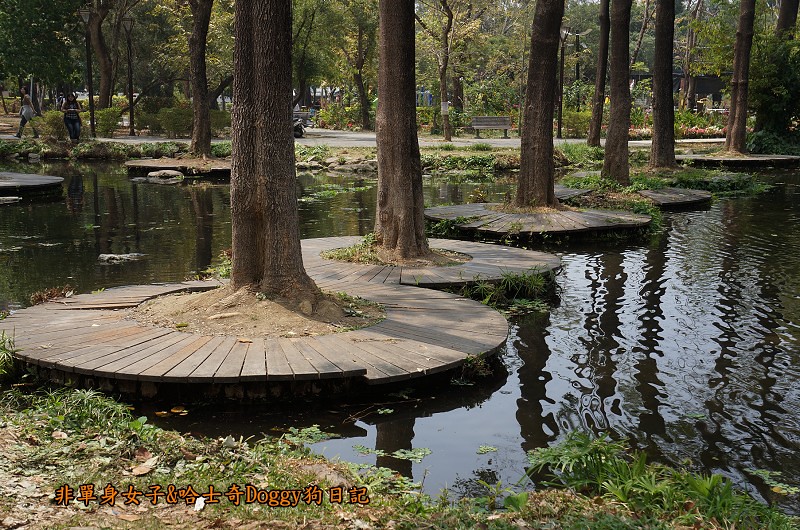高雄鳳山景點24大東濕地公園
