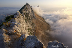 Gibraltar Mist Scenes