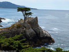 A Spontaneous Trip To California's Central Coast (6-24-2017)