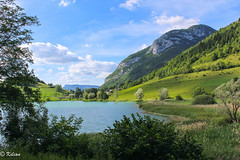 Lac de la Thuile - été 2017 (Savoie)