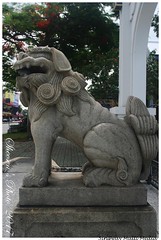 20170725D 臺南神社狛犬