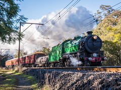 Steam Locomotive 3642