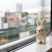 Train Window with Rabbit