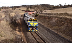 Rails Of New South Wales, Australia