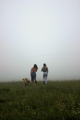Campo Fog