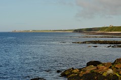 Orkney 2017
