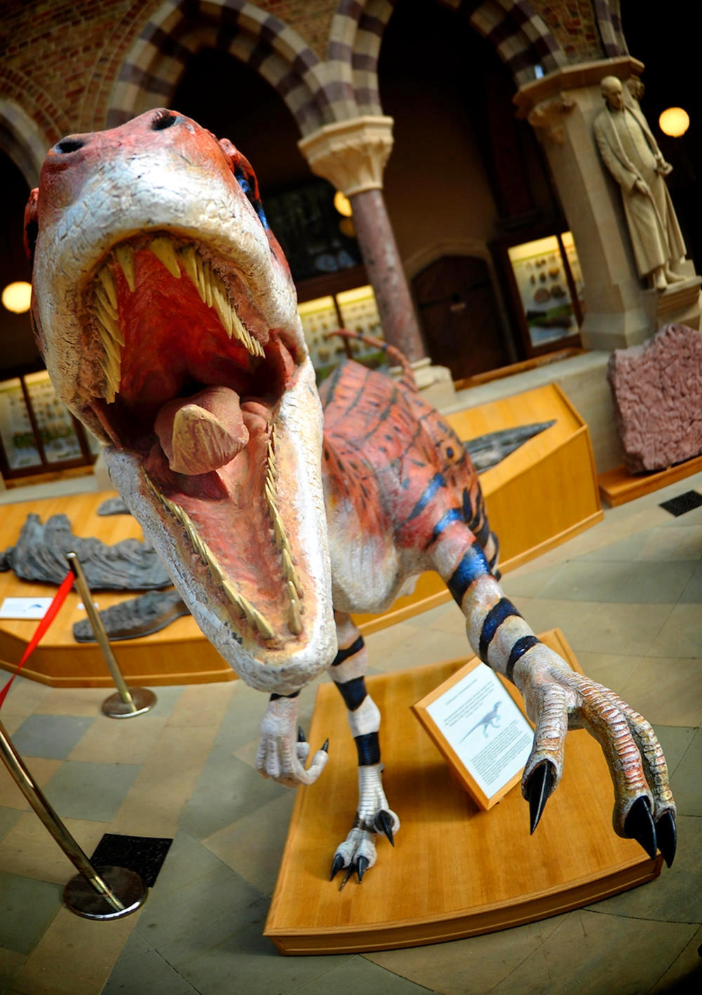 Velociraptor at Oxford's Natural History Museum. Credit IntoTh3Rainbow