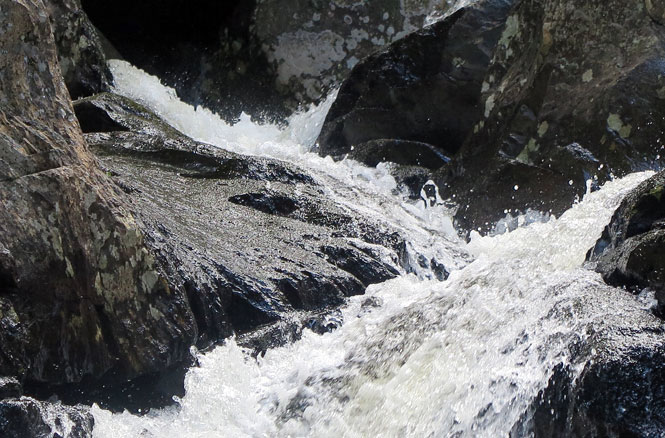 Cascade Stream Gorge Waterfall 1 Chute