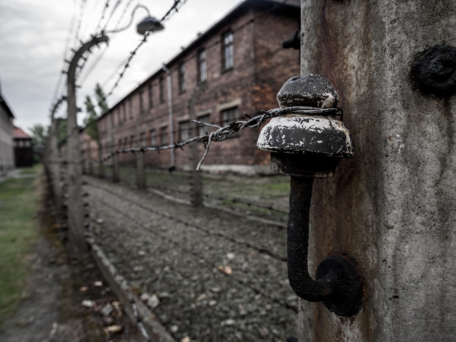 Auschwitzin aitojen sisäpuolella