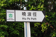 July 2017 Hill Po path