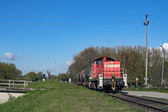 BR 294