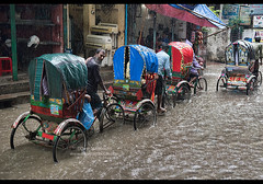 Bangladesh: Under the Monsoon