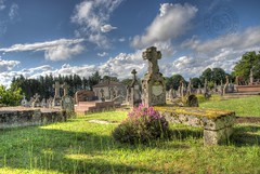 Le vieux cimetière de Montrol-Sénard