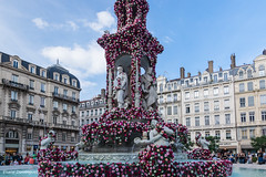 Lyon Fête de la rose Mai 2015