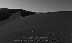 Atacama Desert (Black and White)