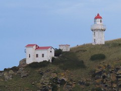 New Zealand Lighthouses