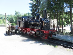 Trains Le Conifer (France)