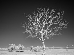 Rural Australia