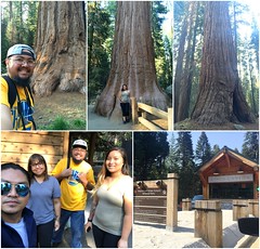Our Spontaneous Trip To Sequoia National Park (7-12-2017)