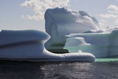 Iceberg / IJsbergen