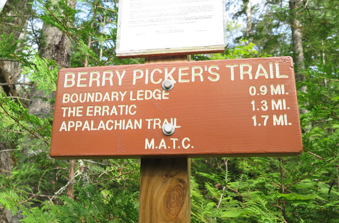 Saddleback Berry Picker's Trail-Sign