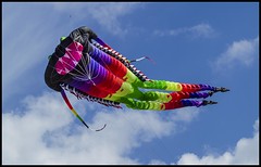 Clontarf Beach Redcliffe KiteFest 2017