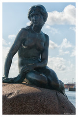 2017-08-13 - Copenhagen - meet the mermaid
