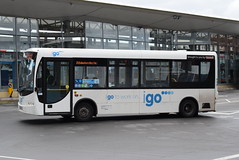 iGo Buses fleet