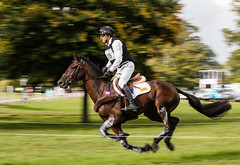 Blenheim Palace International Horse Trials 2017