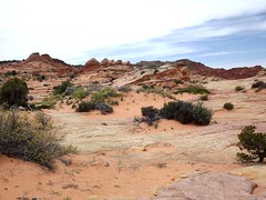 2017 cottonwood cove (south coyote buttes)