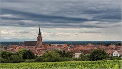 Bergheim - Alsace  ( Haut-Rhin )