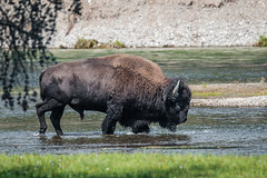 Yellowstone National Park - September 2017