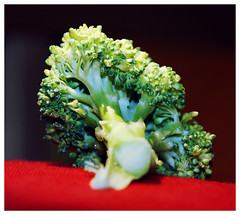 201708 broccoli
