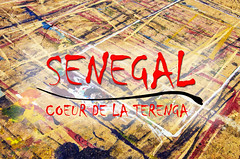 Senegal - coeur de la terenga